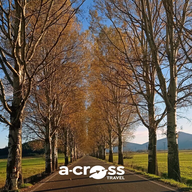 A-CROSS TRAVEL