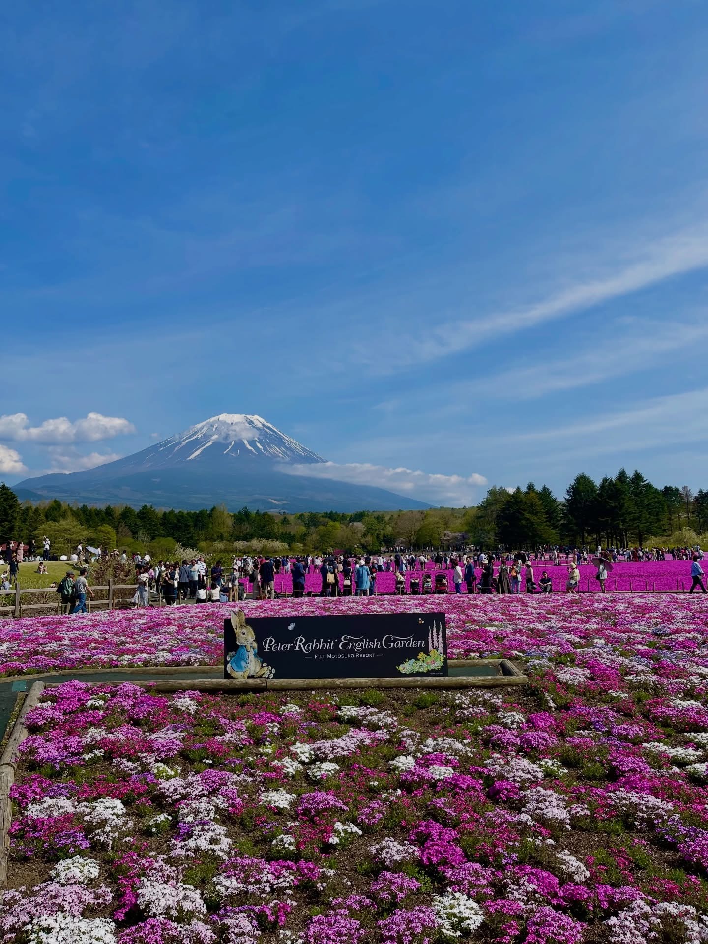 Make My Trip Japan