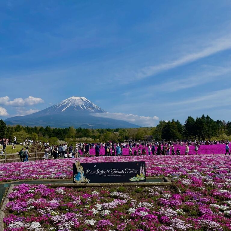 Make My Trip Japan