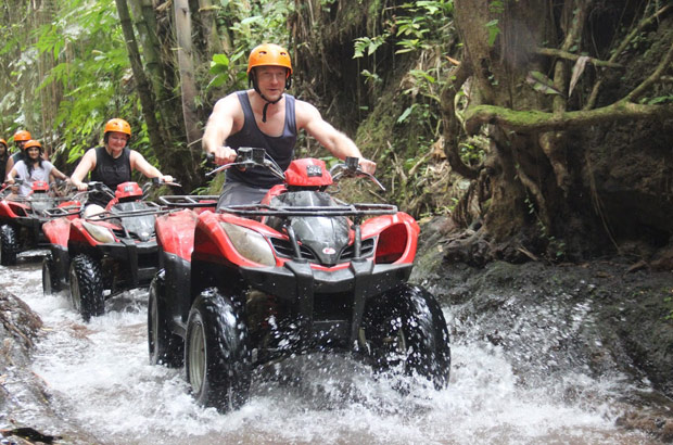 ubud premium full-day tour
