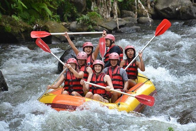 ubud premium full-day tour