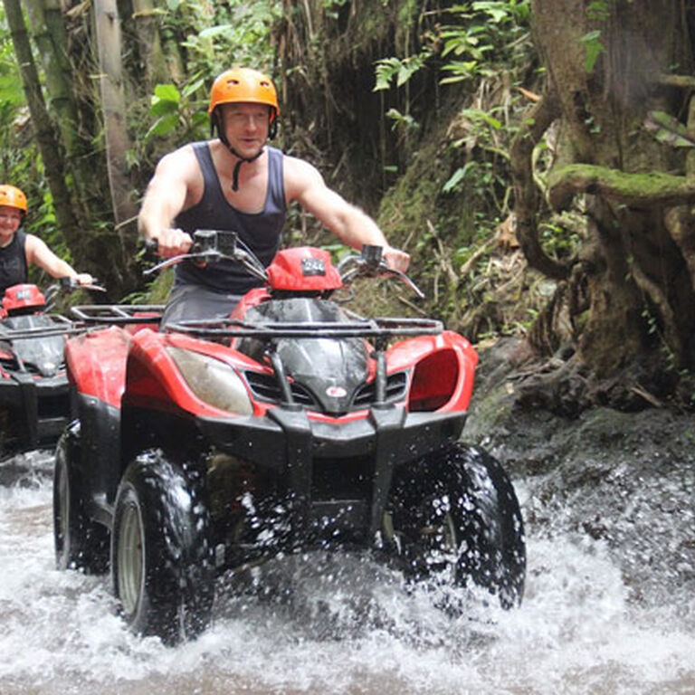 ubud premium full-day tour