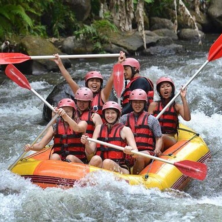 ubud premium full-day tour