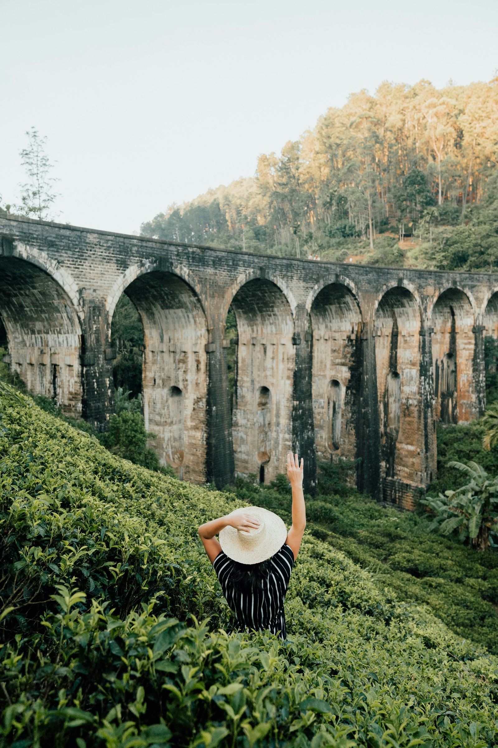 Srilanka Tour Packages