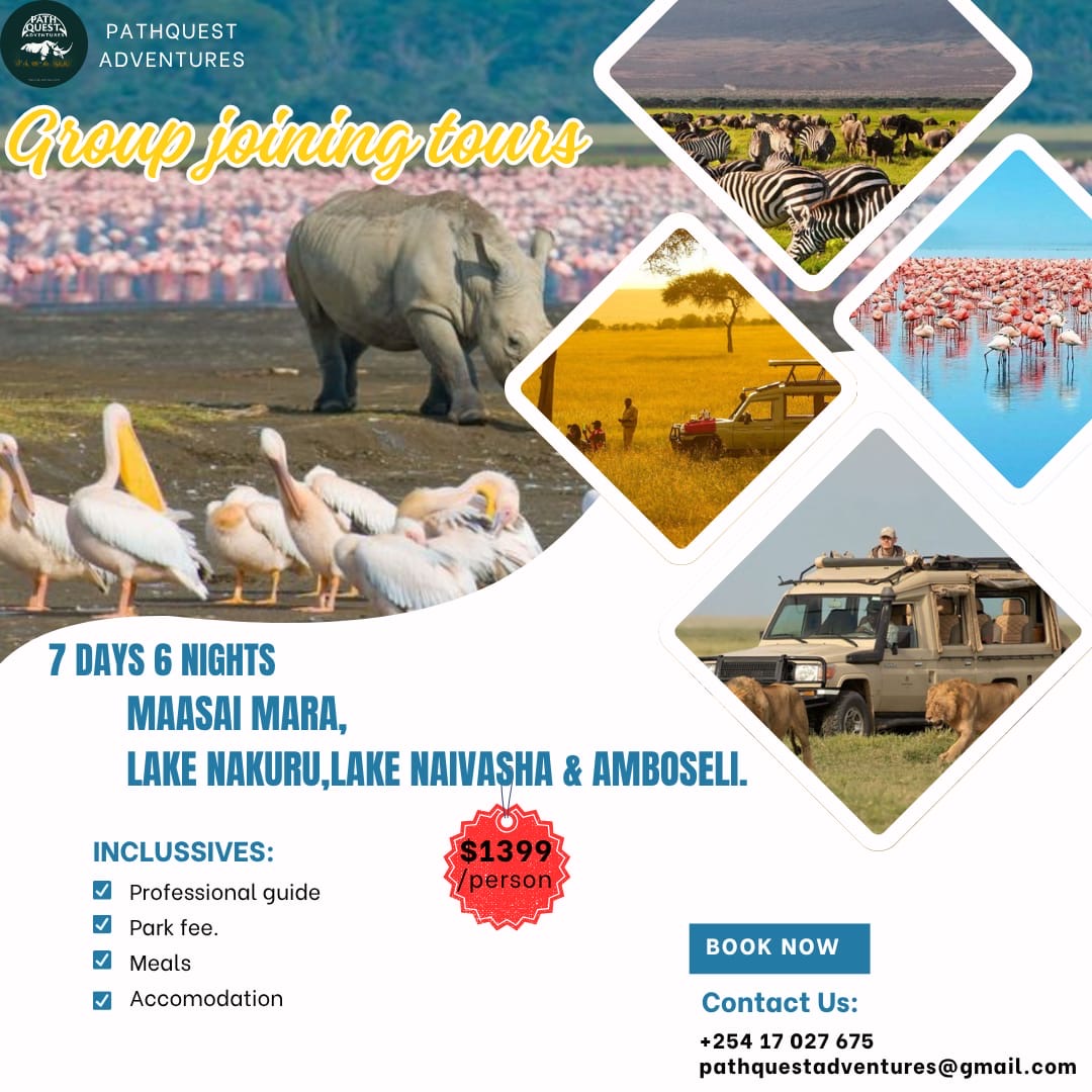 Pathquest Adventures