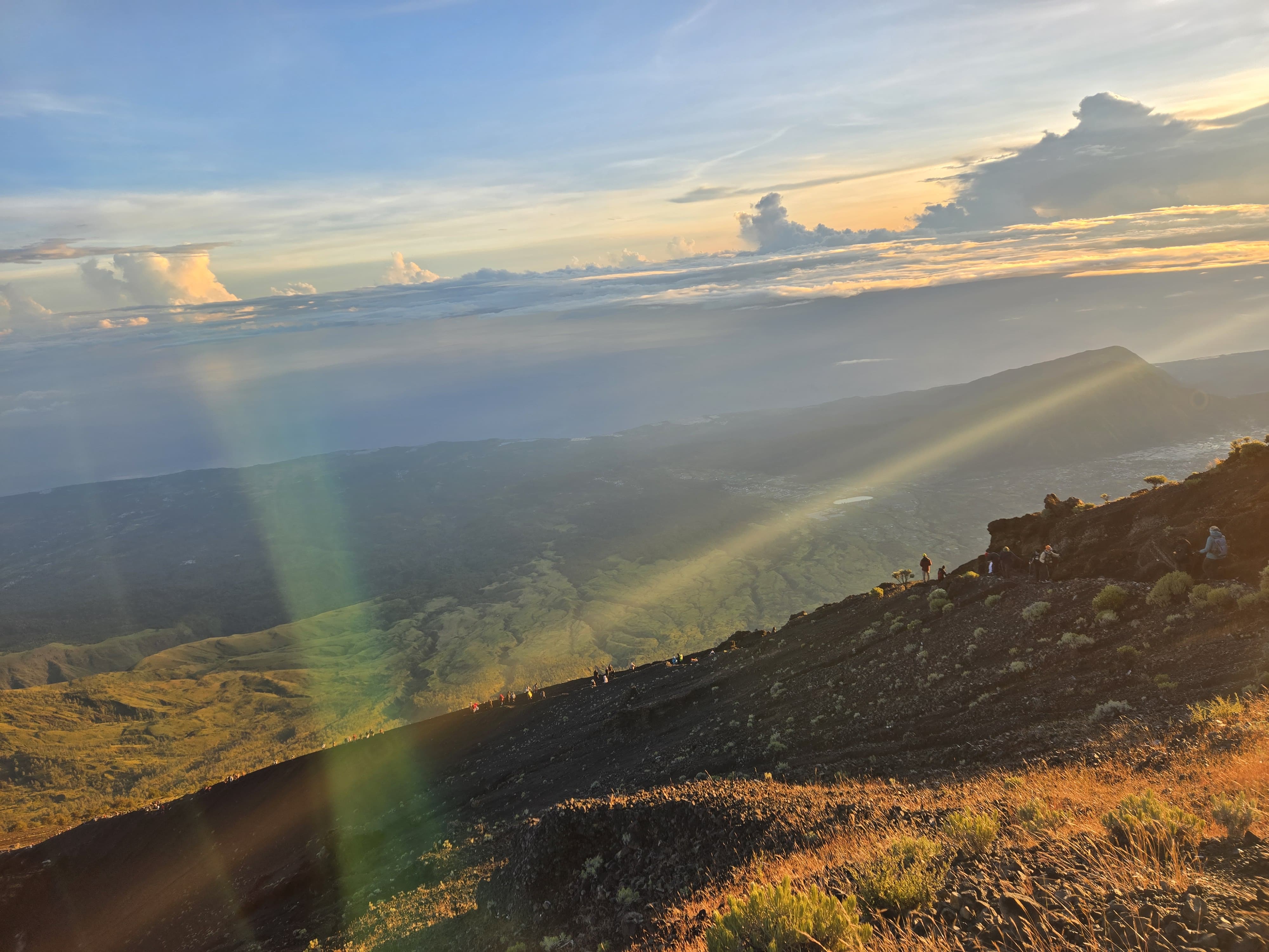 Rinjani Exotic