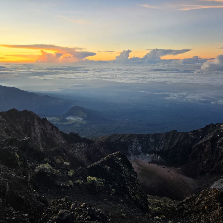 Rinjani Exotic