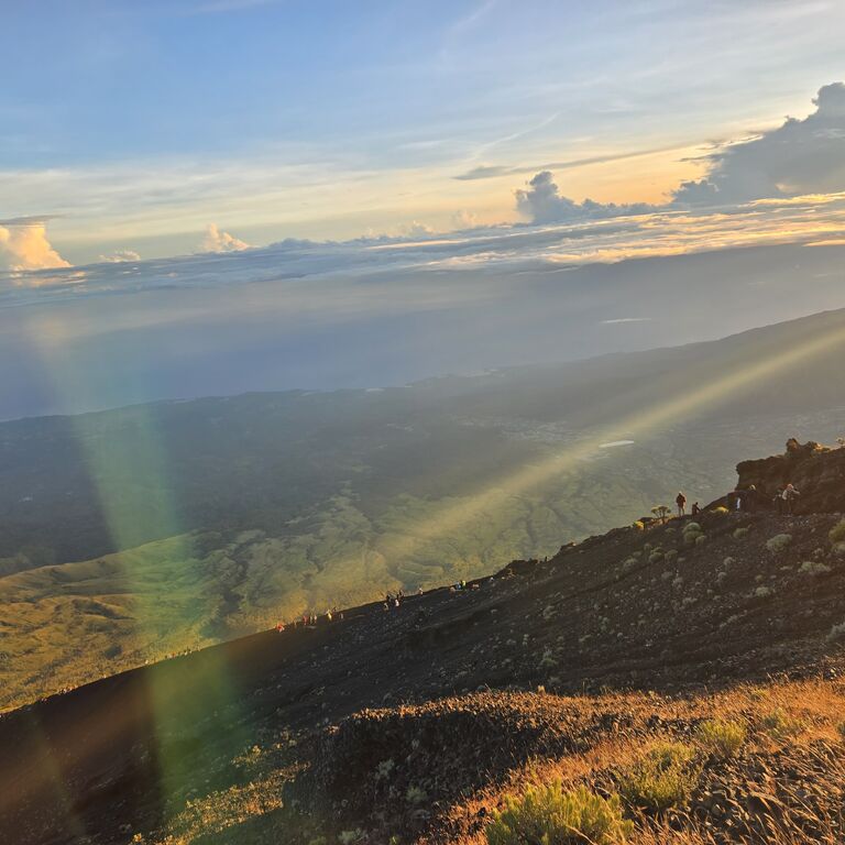 Rinjani Exotic