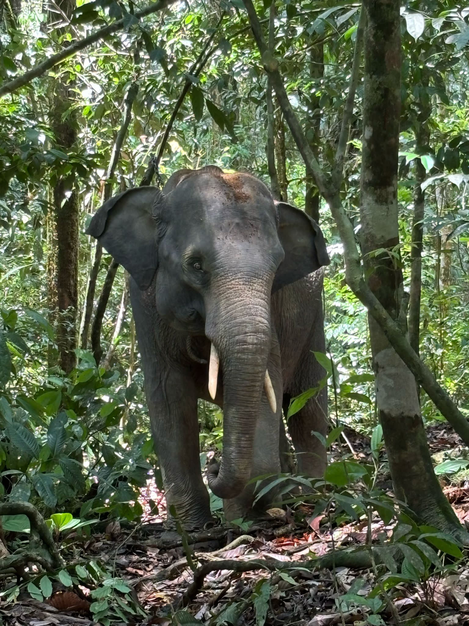 Wild Nature Trips
