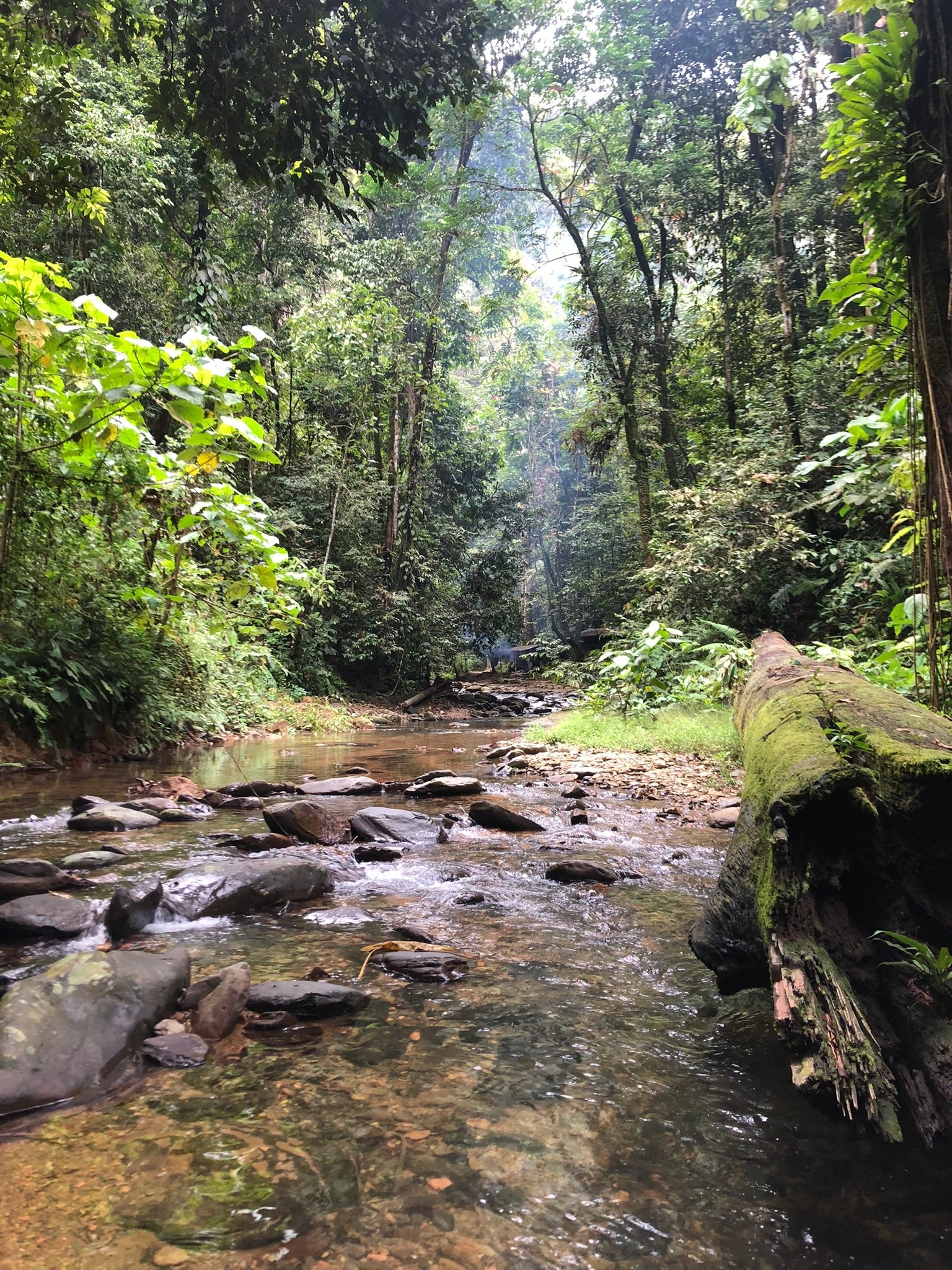 Wild Nature Trips
