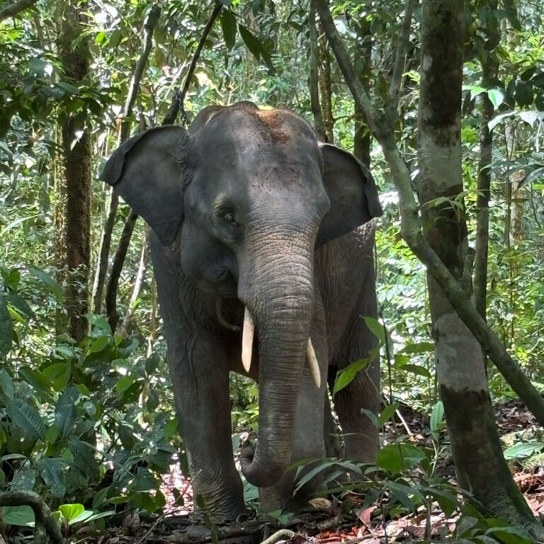 Wild Nature Trips