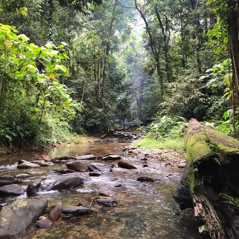 Wild Nature Trips
