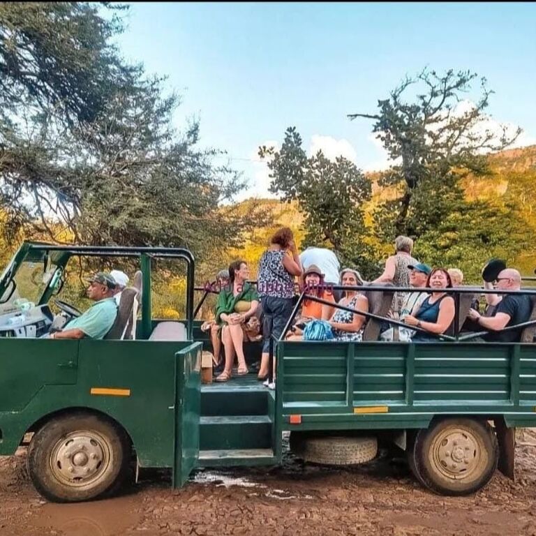 Ranthambore Safari Booking