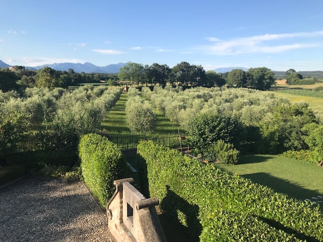AGRITURISMO MACESINA
