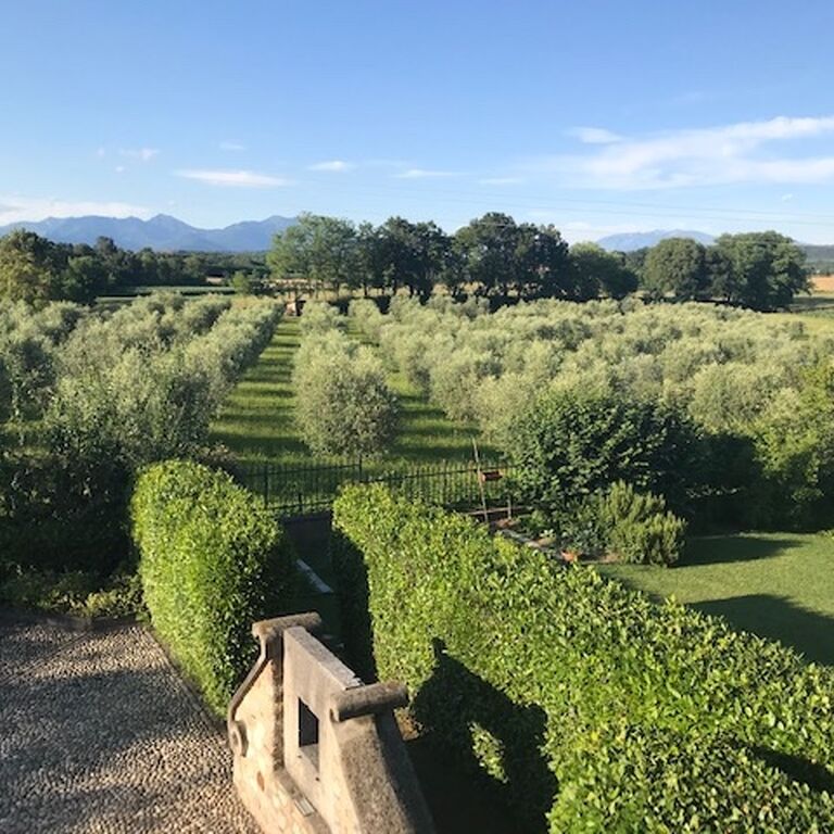 AGRITURISMO MACESINA