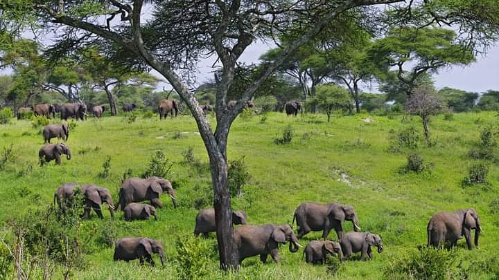 Experience Zanzibar Tours