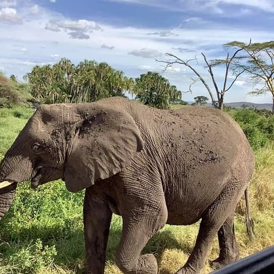 Experience Zanzibar Tours
