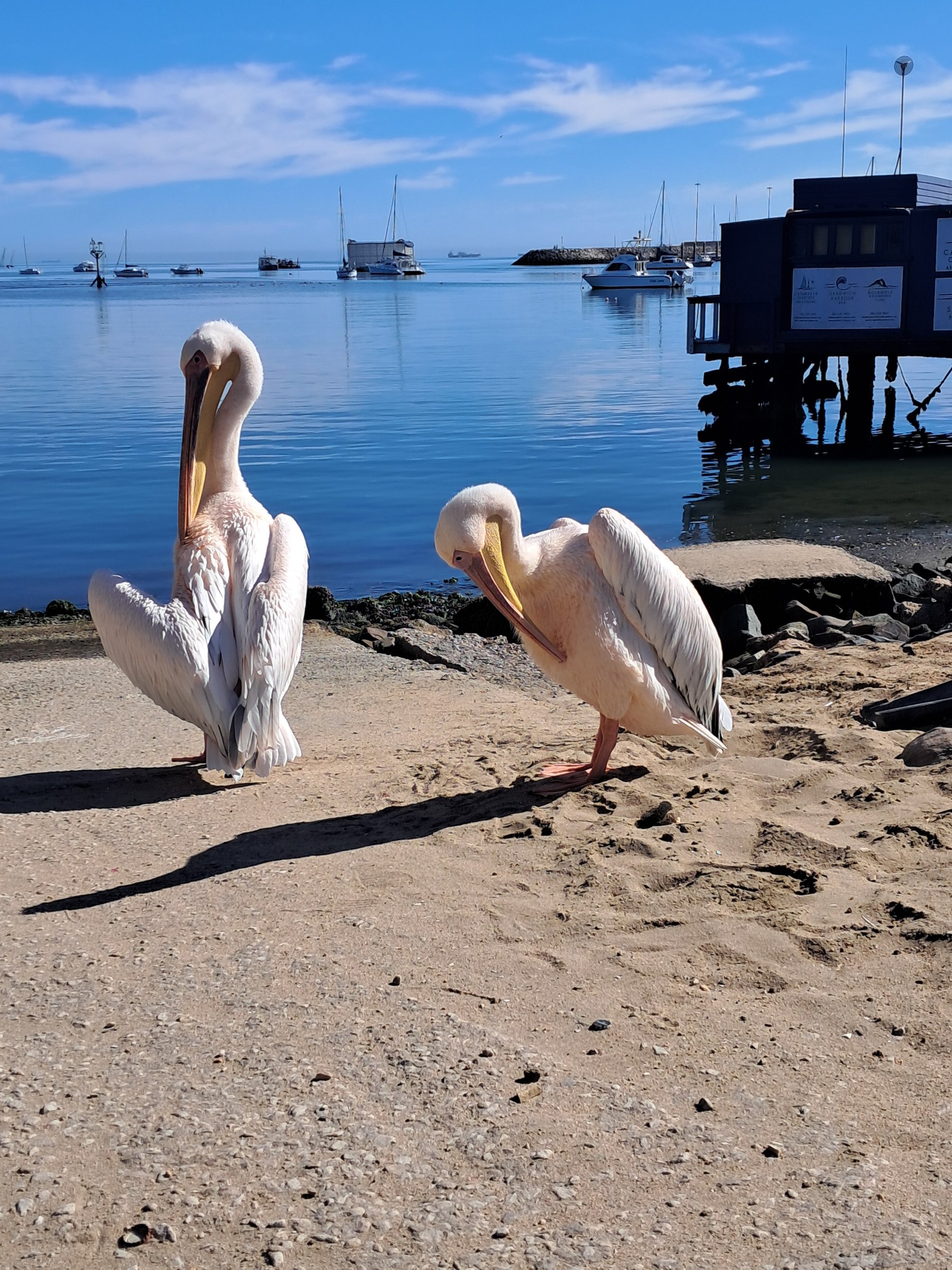 Shifting Sands Tours & Safaris