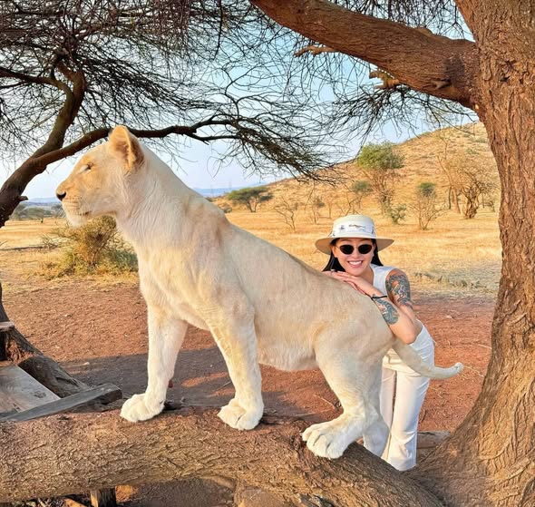 Moshi Tours & Transfer