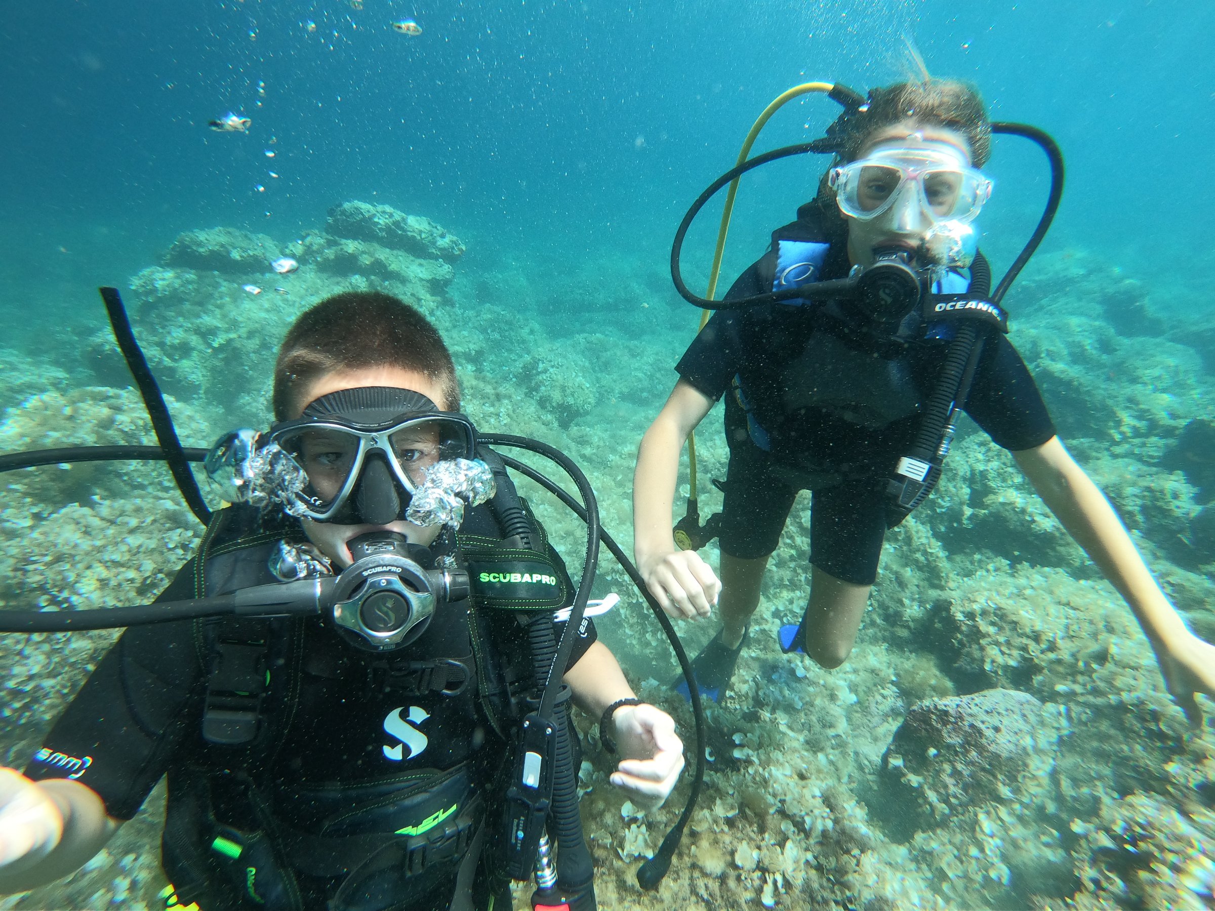 Diving Montenegro Herceg Novi