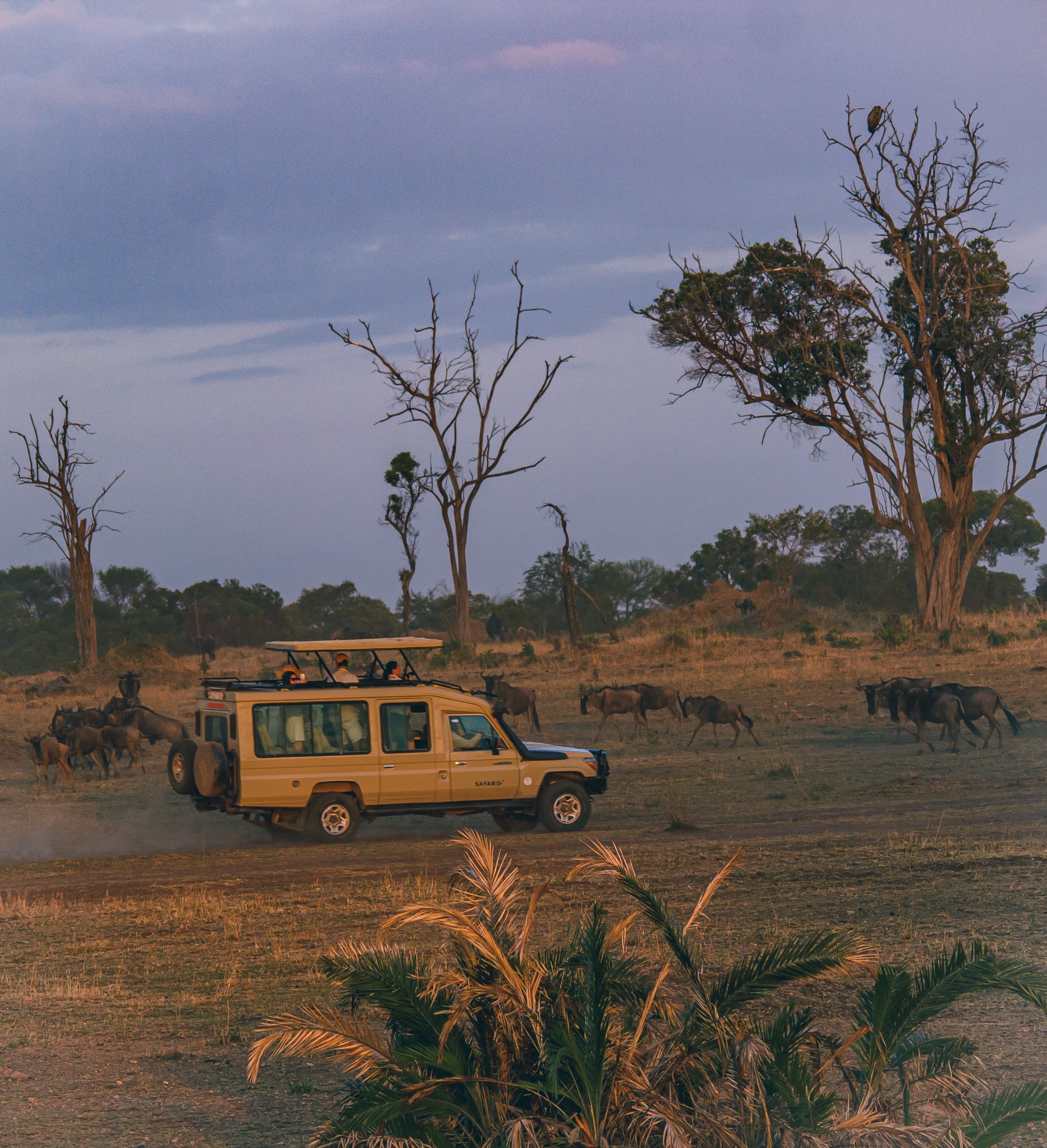 The Luxury Africa Dmc