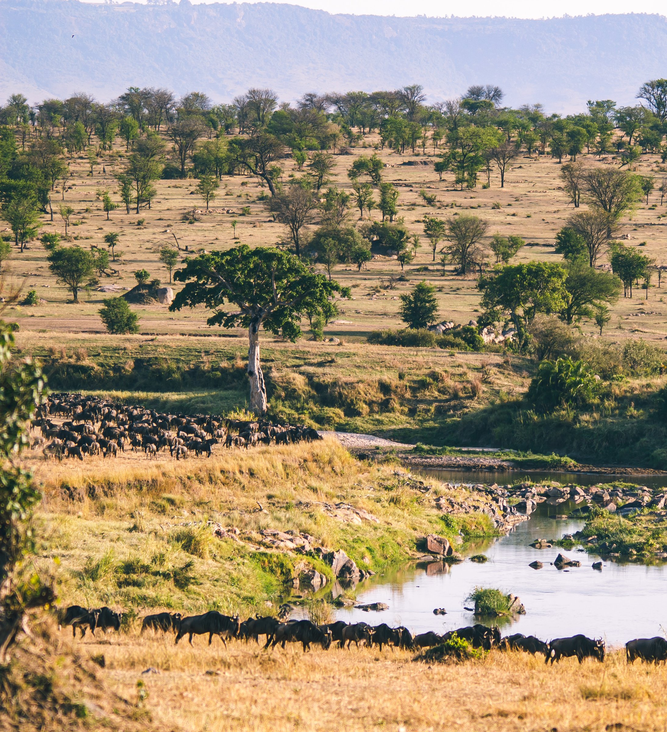 The Luxury Africa Dmc