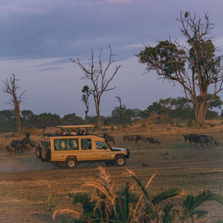The Luxury Africa Dmc