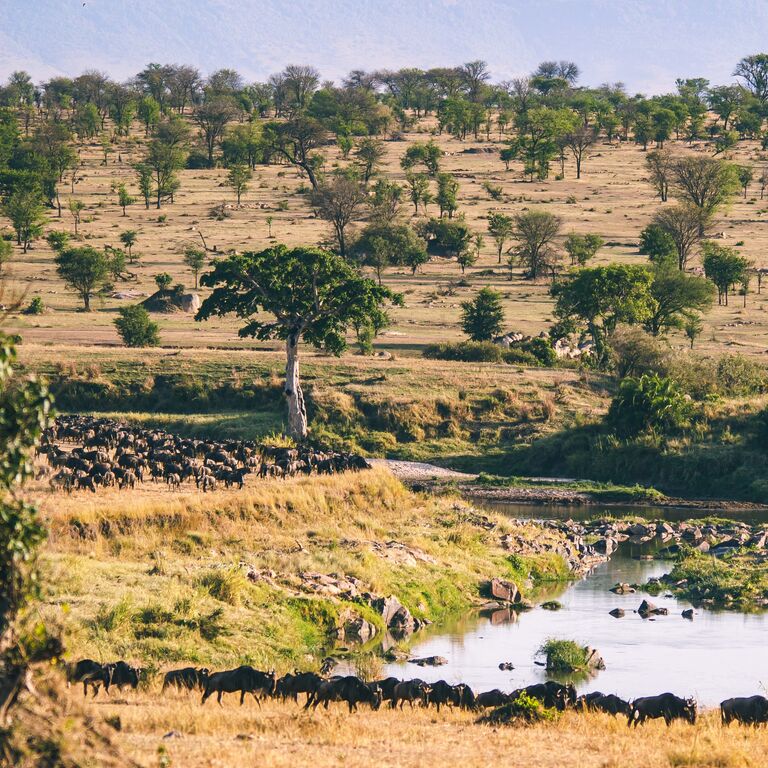 The Luxury Africa Dmc