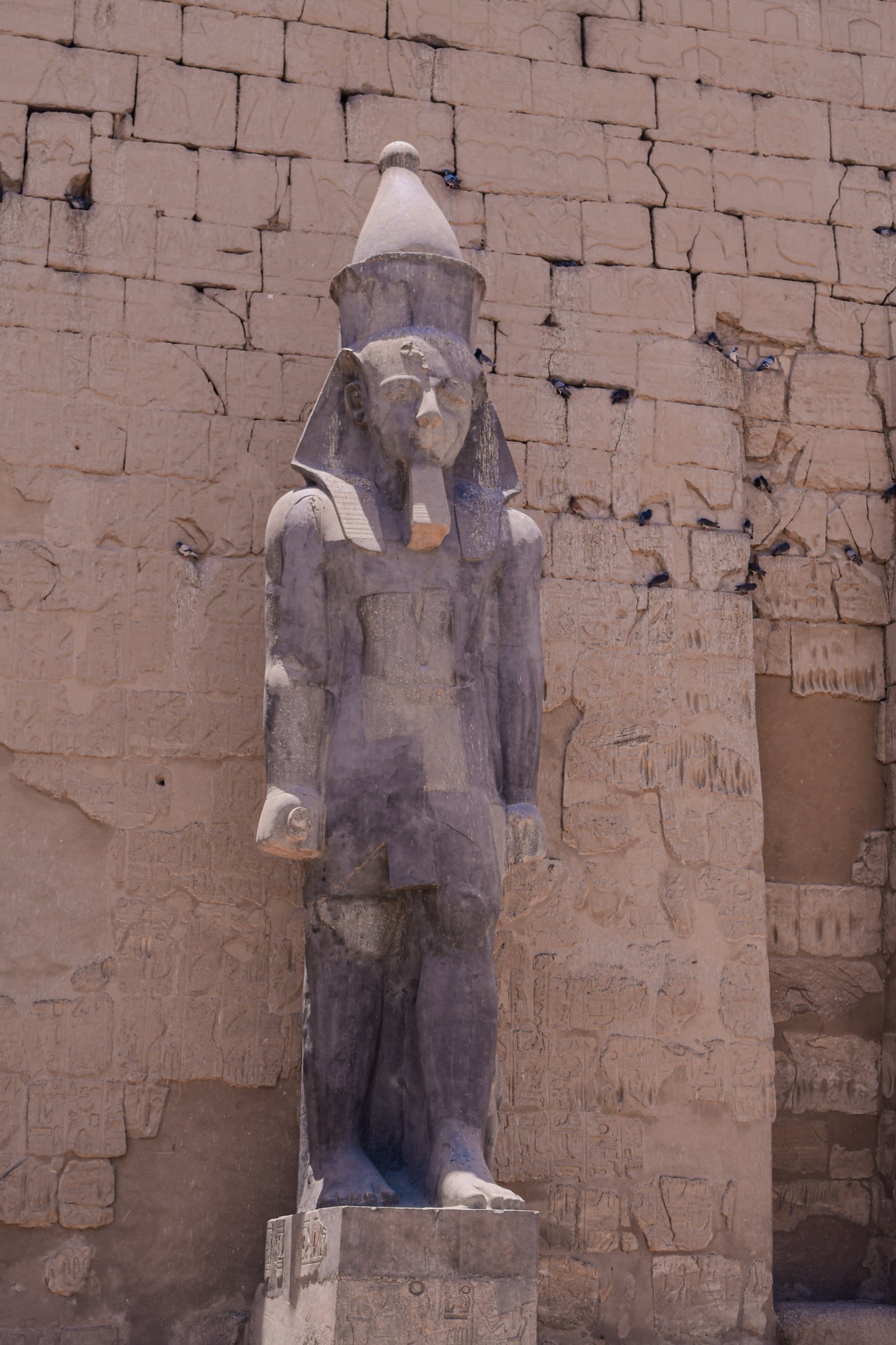 Egypt1Tours