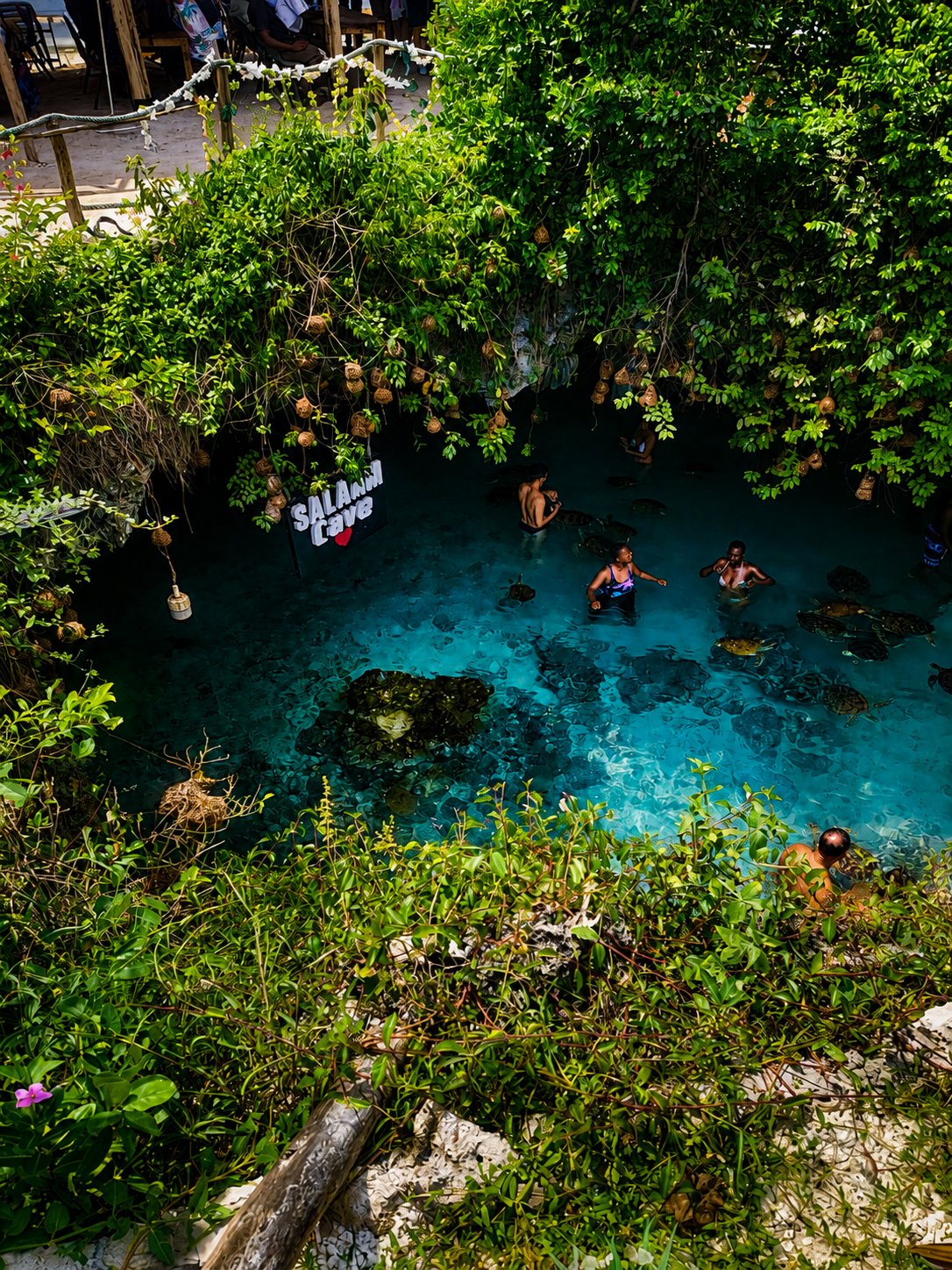 NokNokZanzibar