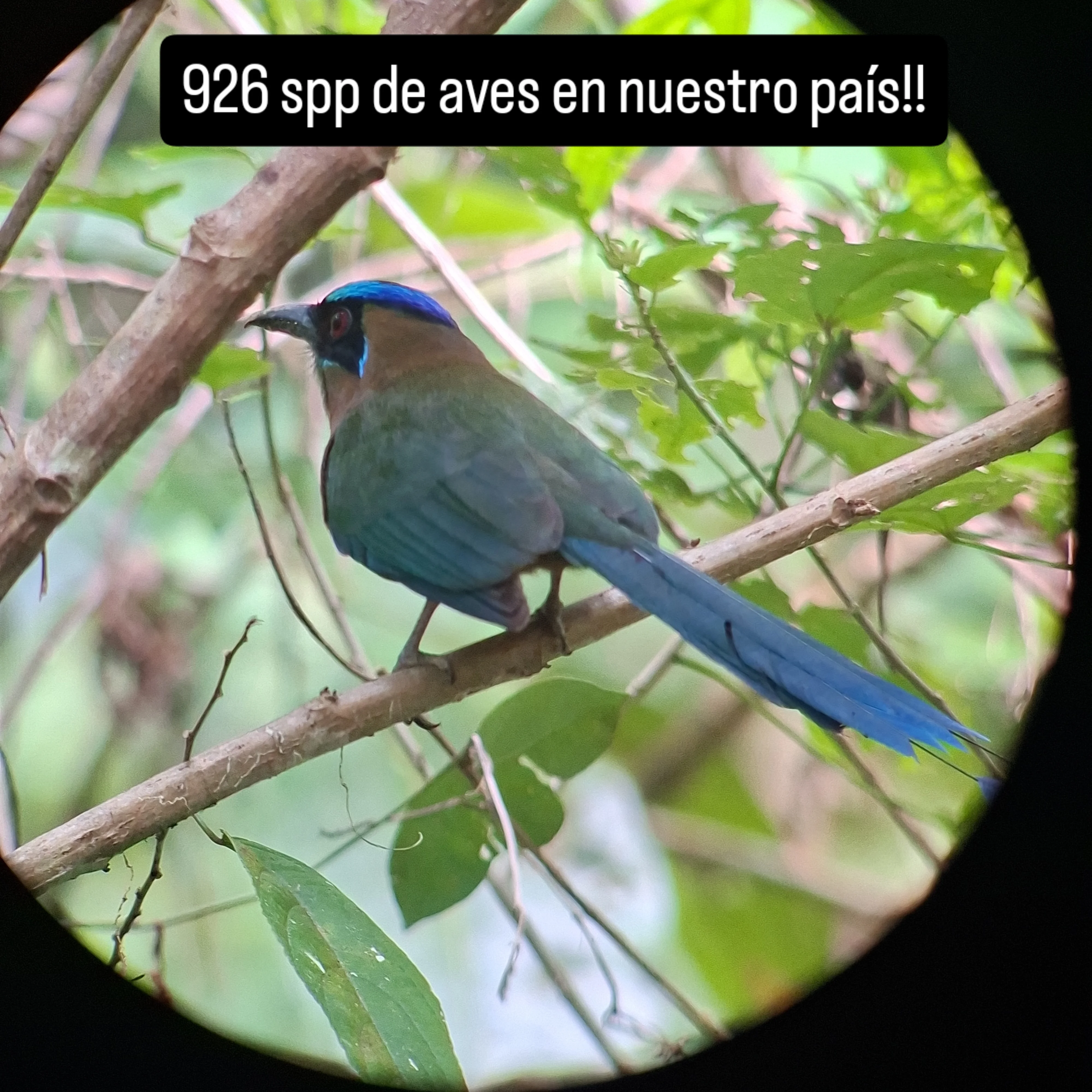 Passiflora Tours Costa Rica