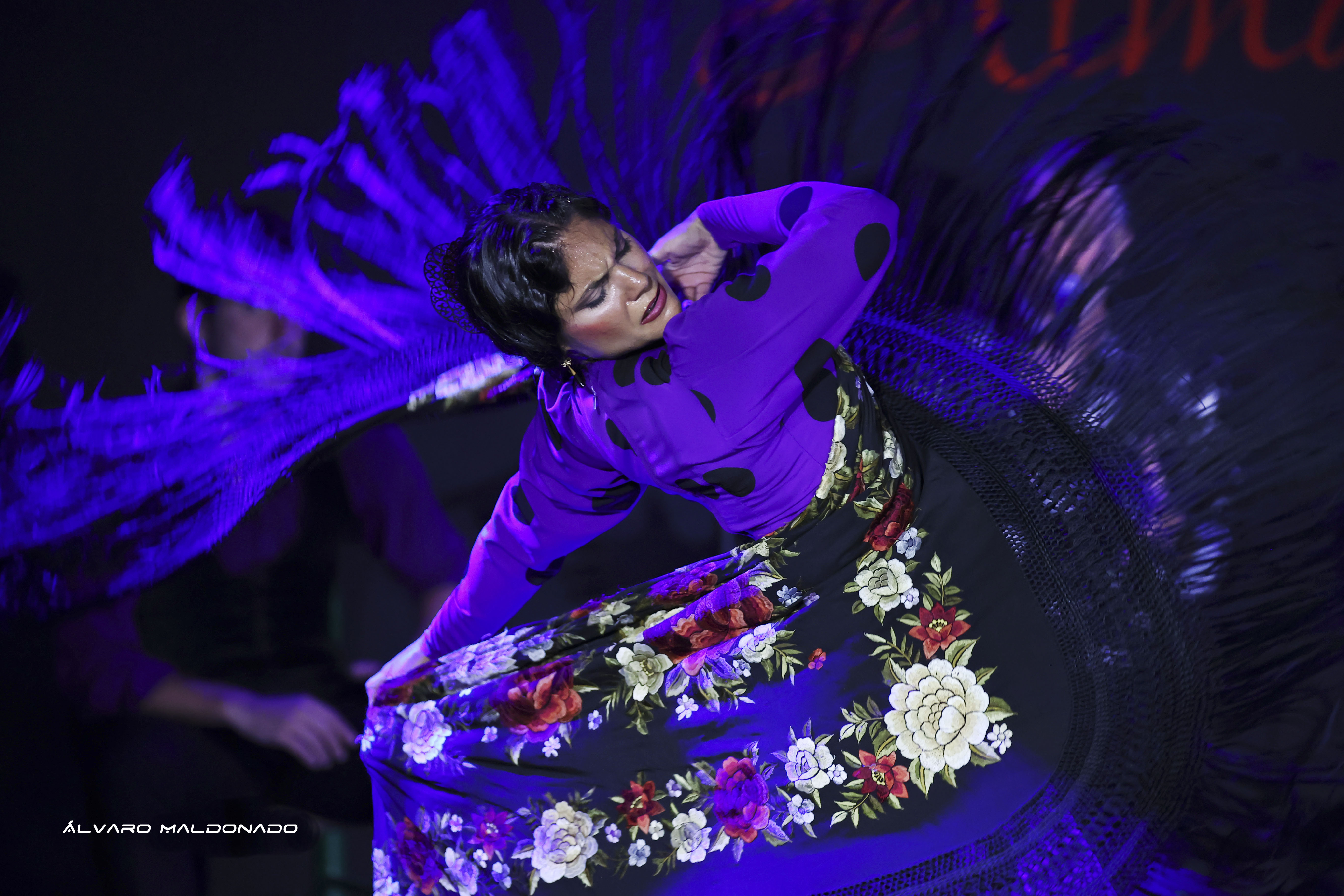 Tablao Flamenco Alma