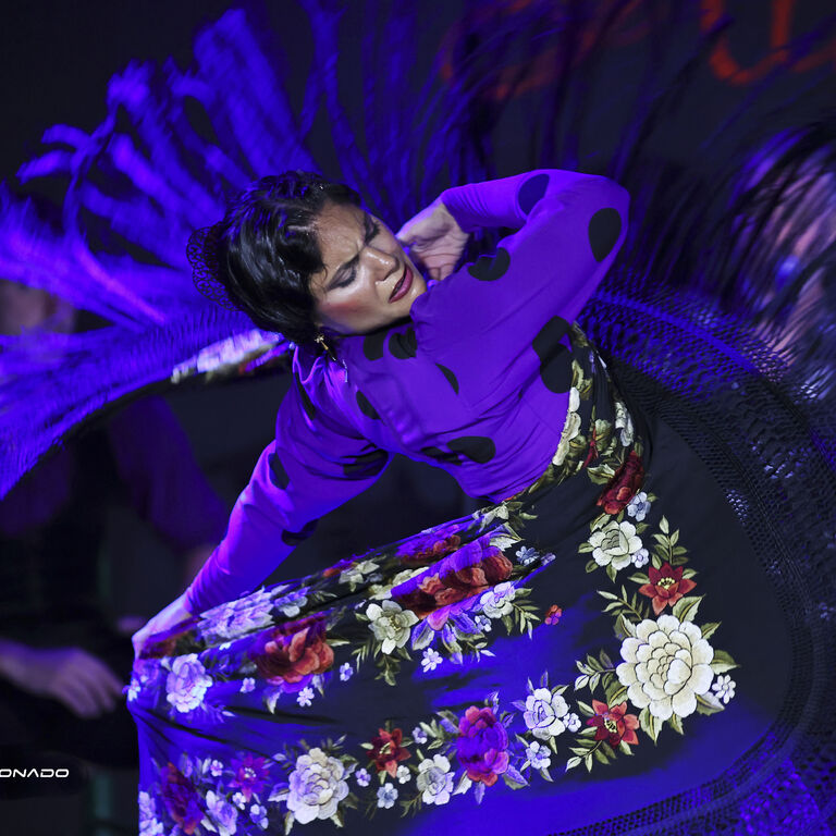 Tablao Flamenco Alma