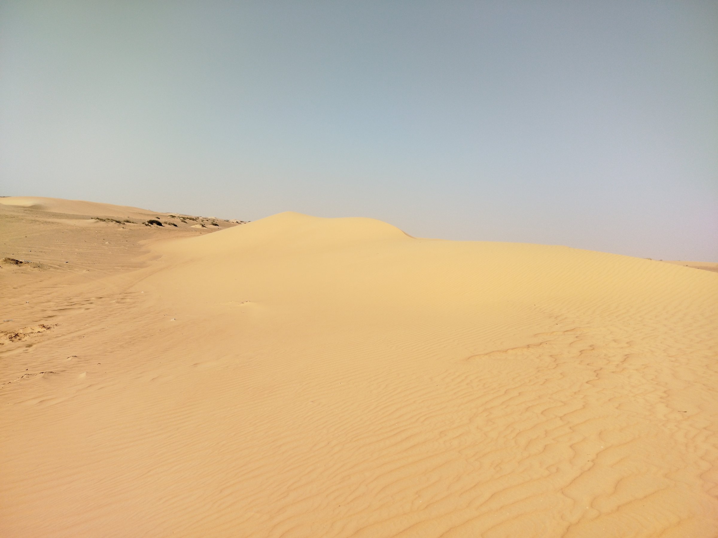 mauritania.ahmedtheguide