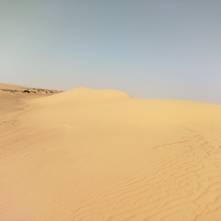 mauritania.ahmedtheguide