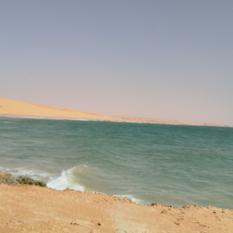 mauritania.ahmedtheguide