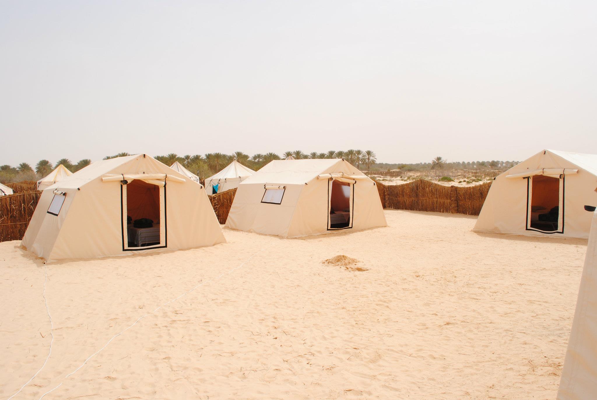 Campement Sahara Oasis Douz