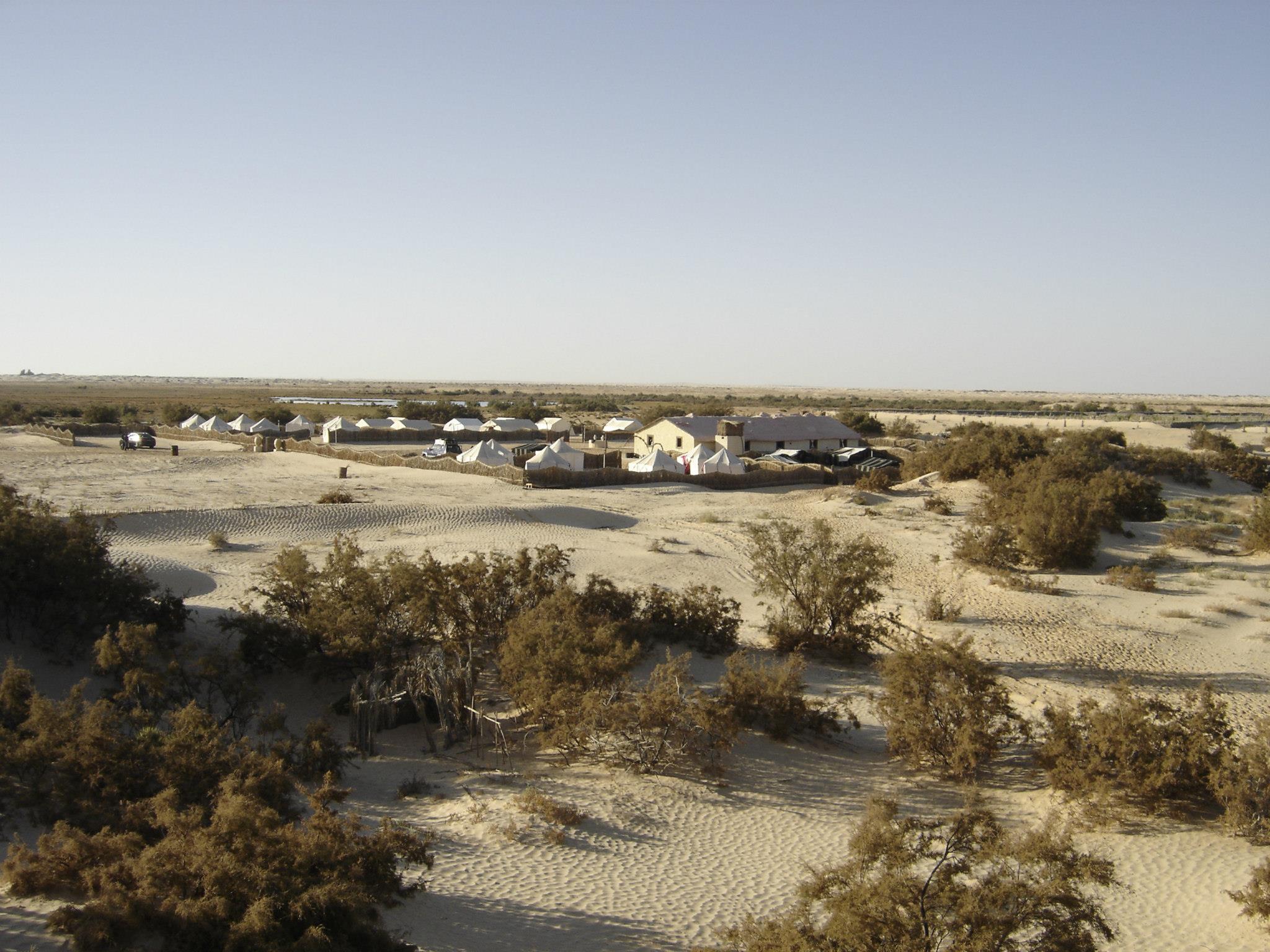 Campement Sahara Oasis Douz