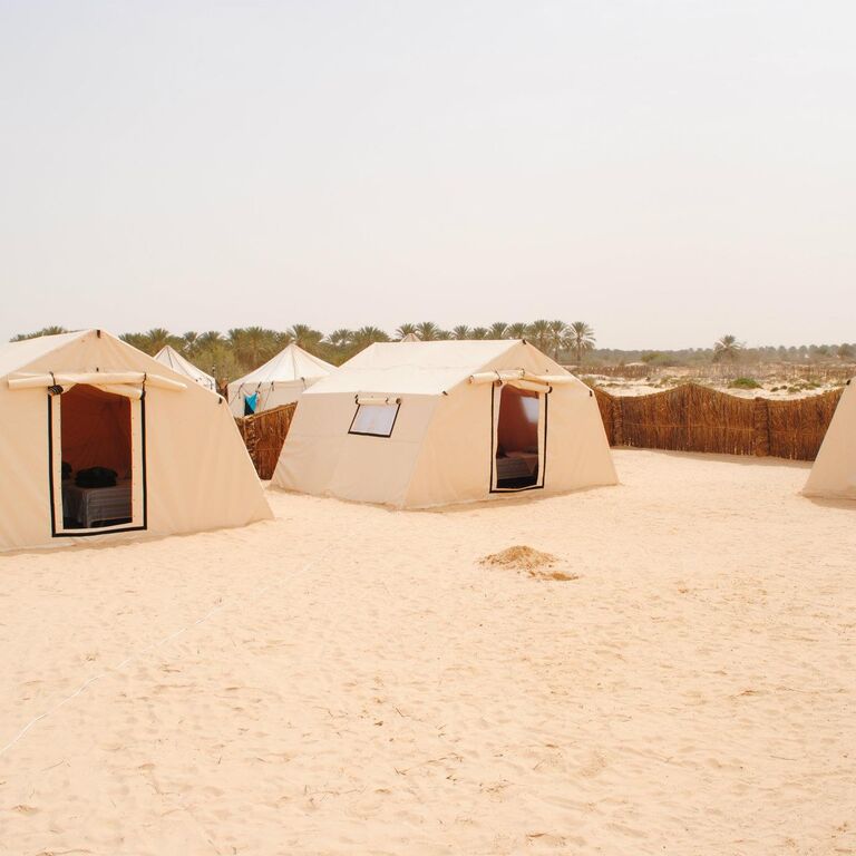 Campement Sahara Oasis Douz