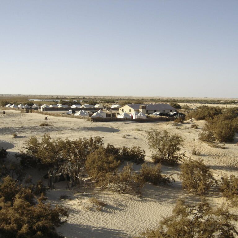 Campement Sahara Oasis Douz