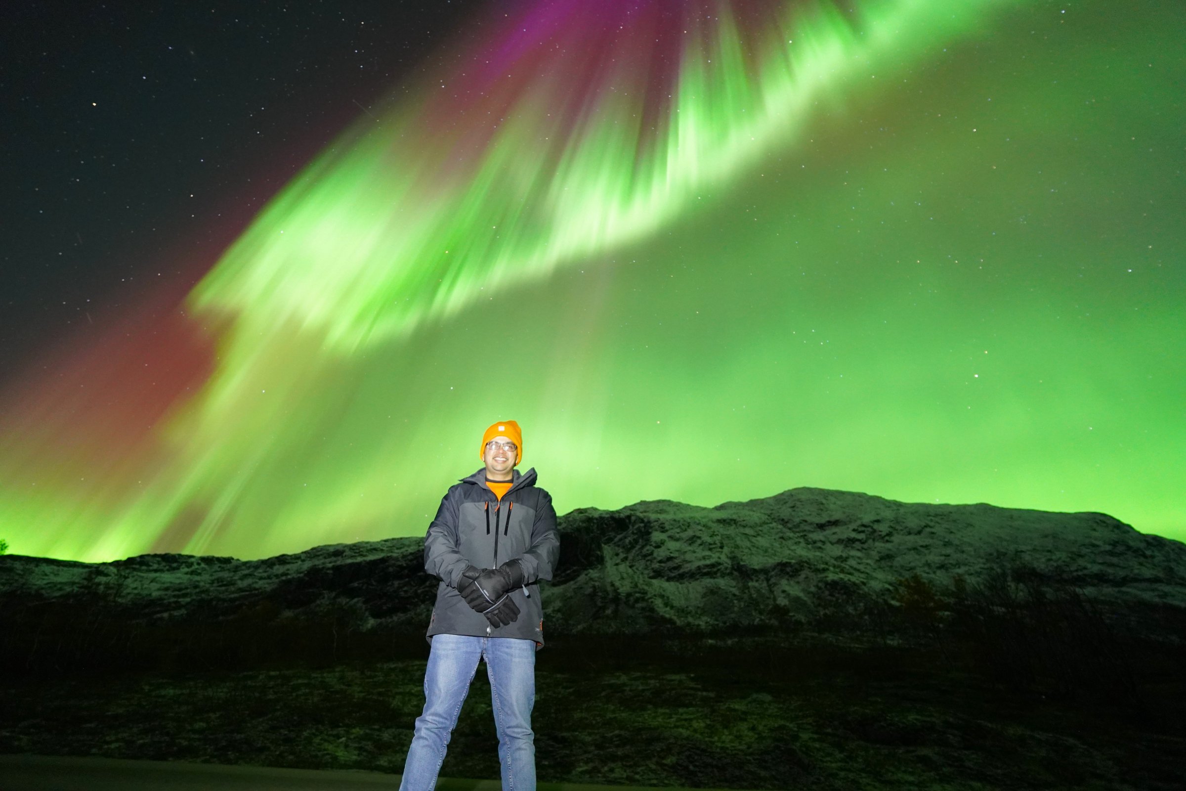 Amazing Arctic