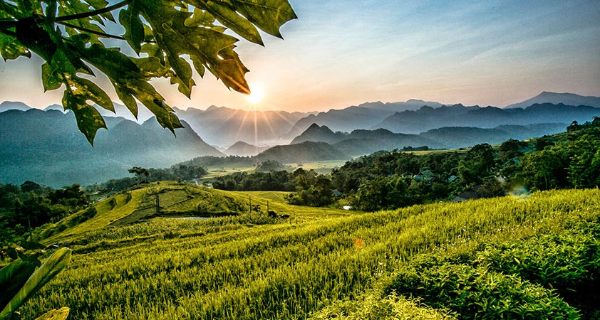 Hanoi Golden Travelers