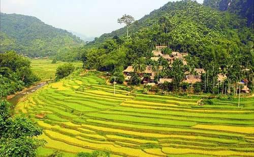 Hanoi Golden Travelers