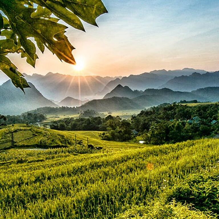 Hanoi Golden Travelers