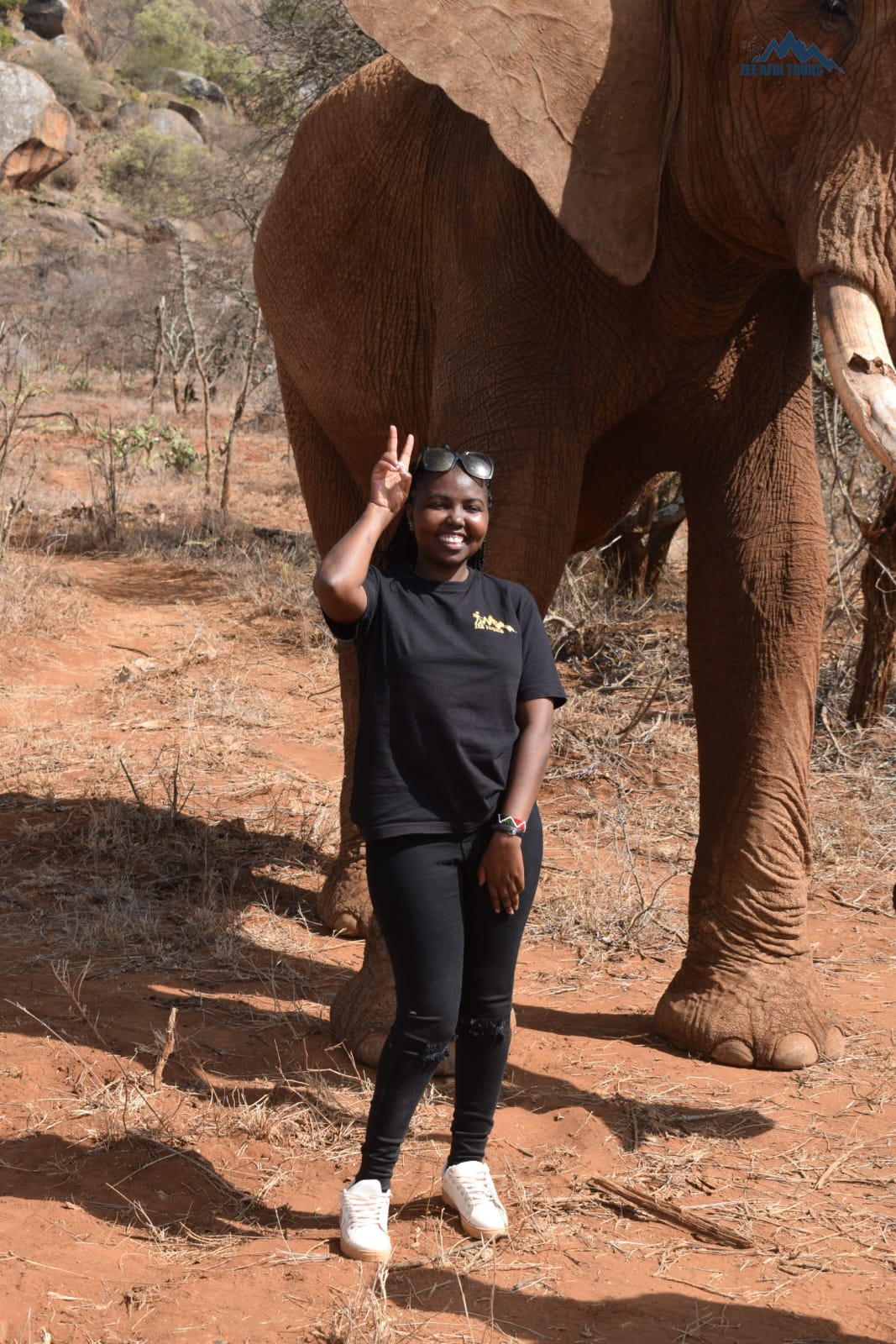 Zee Afri Tours