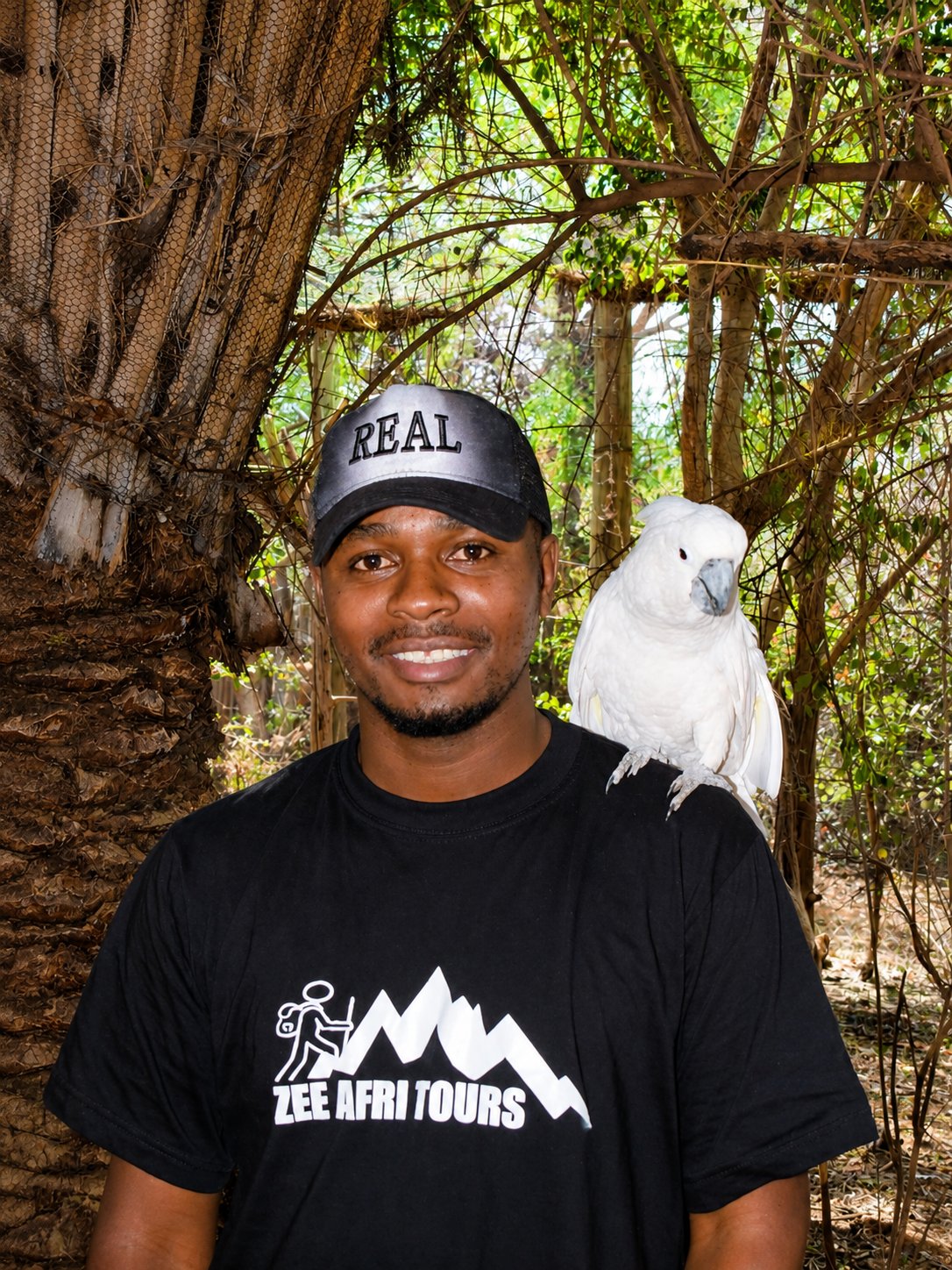 Zee Afri Tours