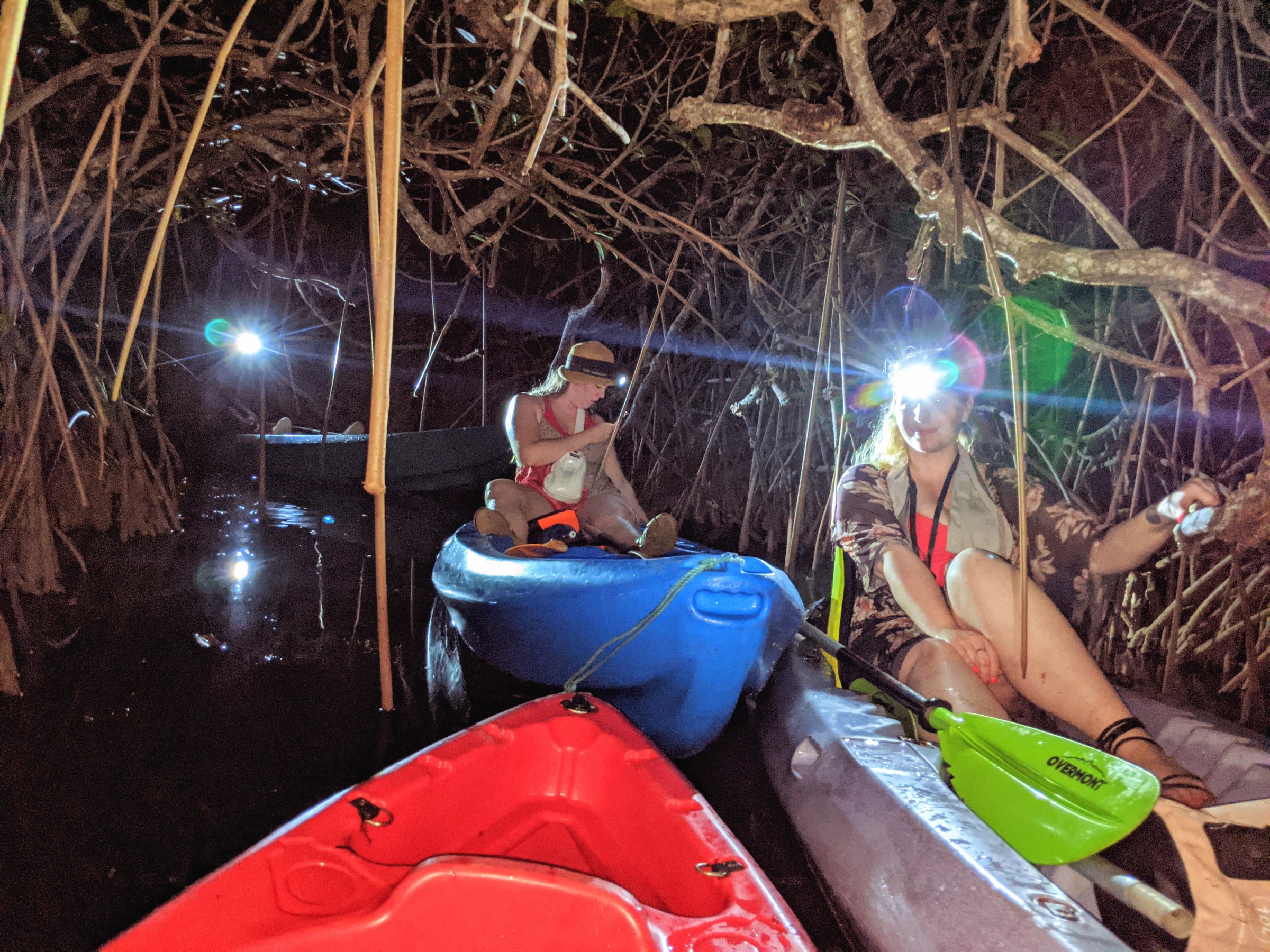 Palmento Grove Eco-Cultural and Healing Lodge