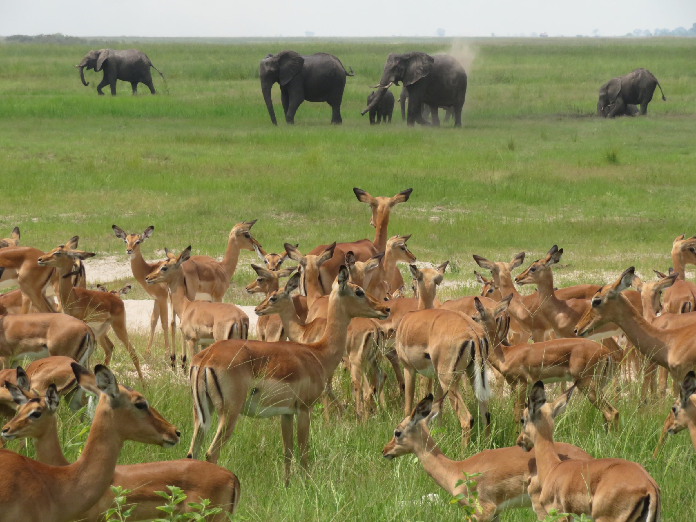 Small Group Day Safari