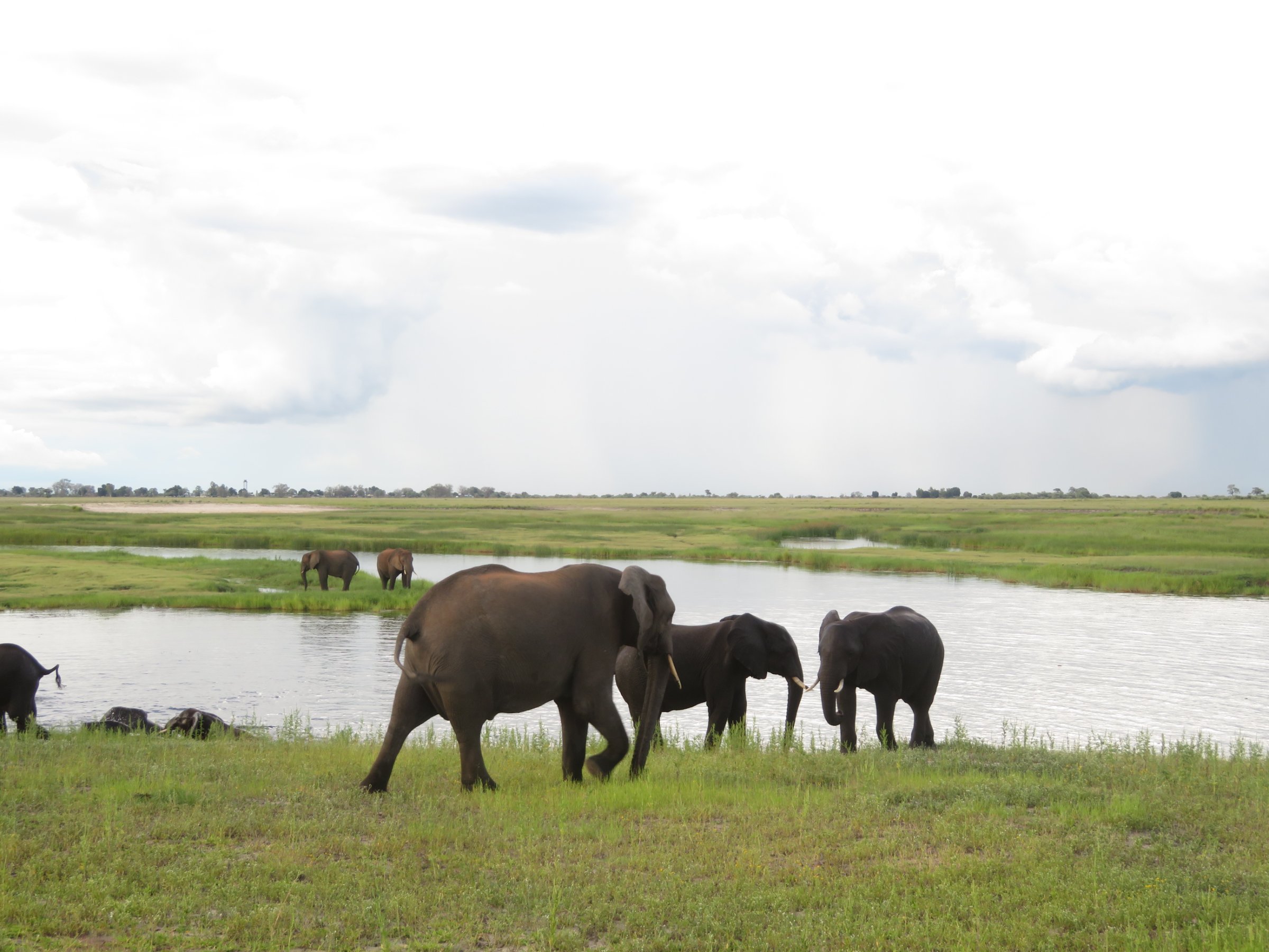 Small Group Day Safari