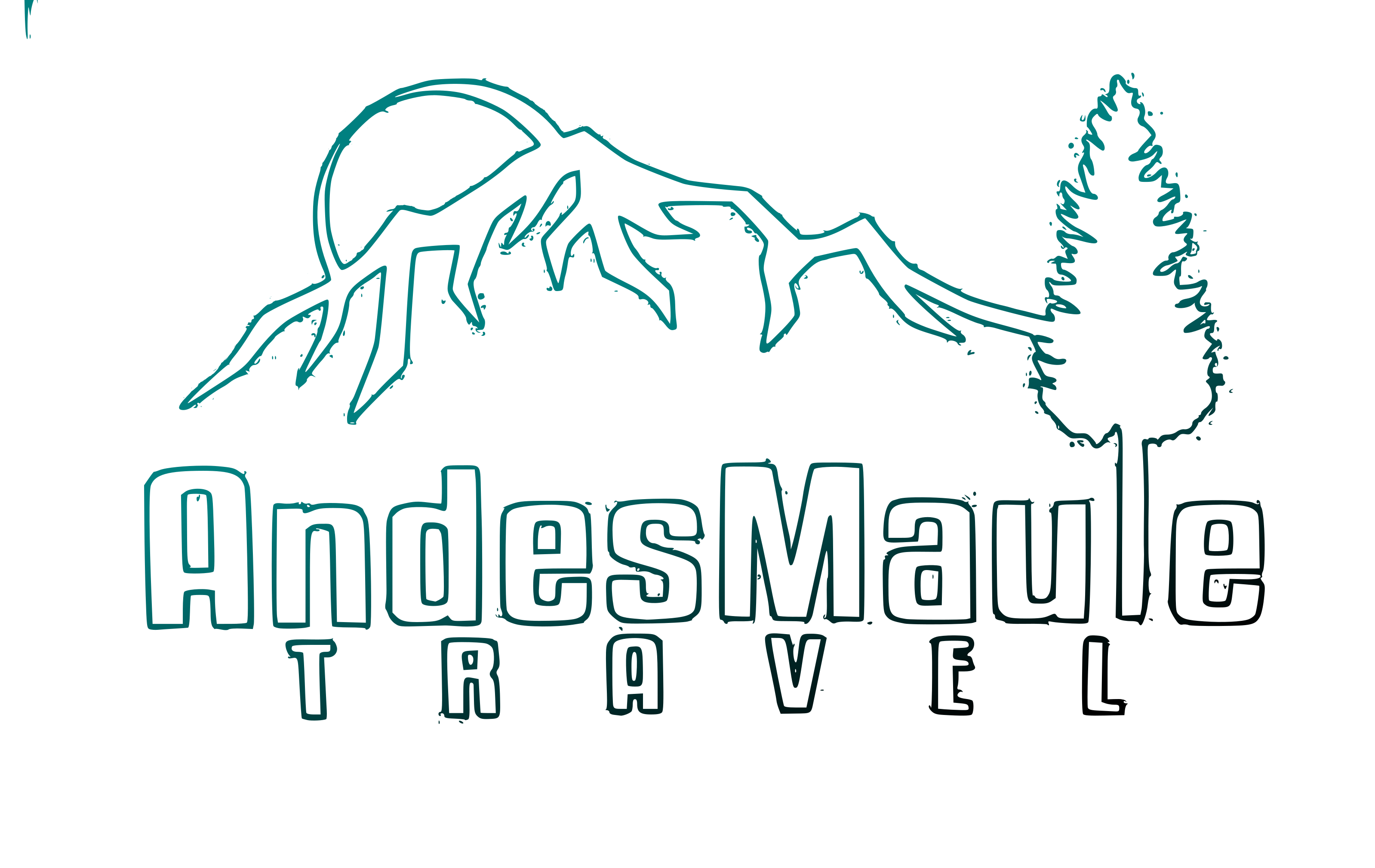 Andes Maule Travel